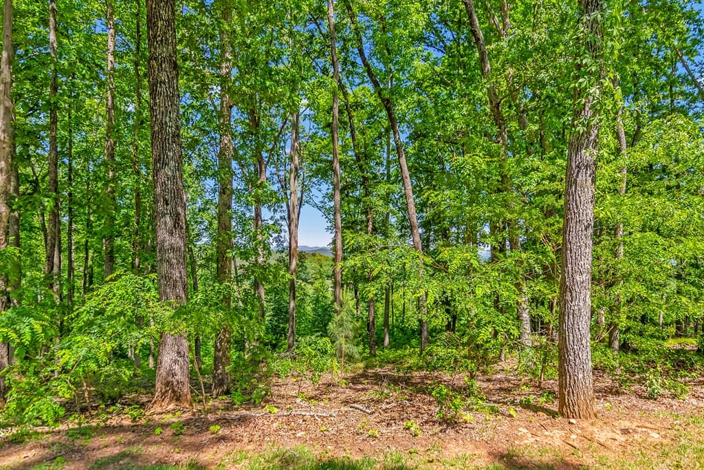 Lot 98 Winding Ridge, Blairsville GA 30512 - Photo
