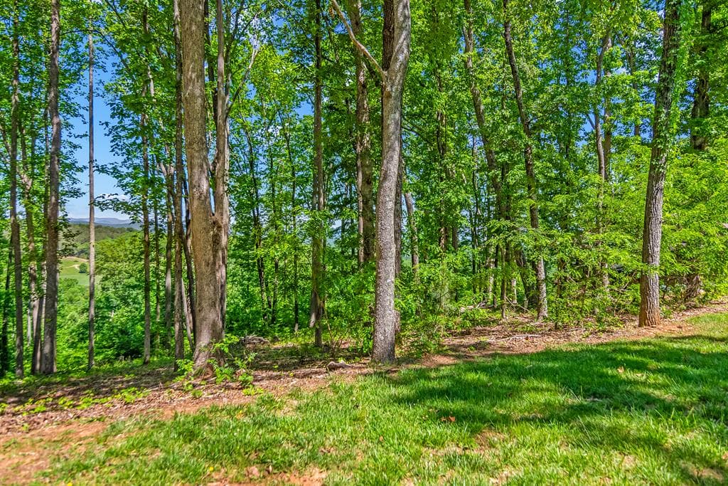 Lot 98 Winding Ridge, Blairsville GA 30512 - Photo