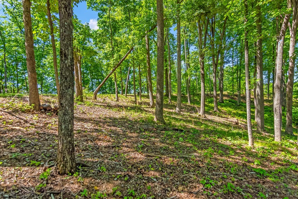 Lot 98 Winding Ridge, Blairsville GA 30512 - Photo