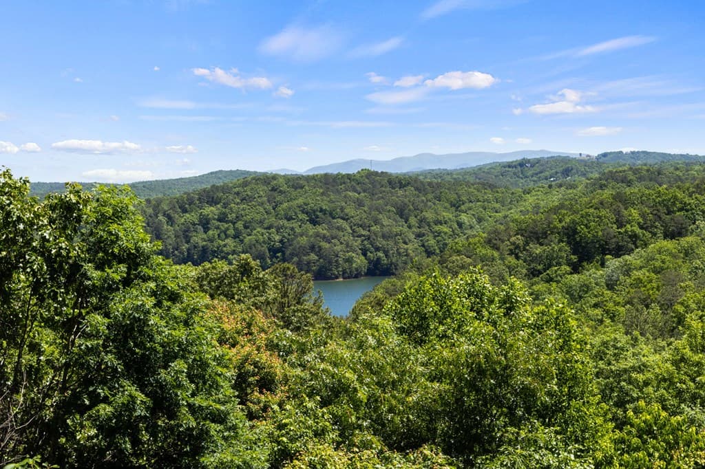 122 Zane Drive, Ellijay GA 30540 - Photo