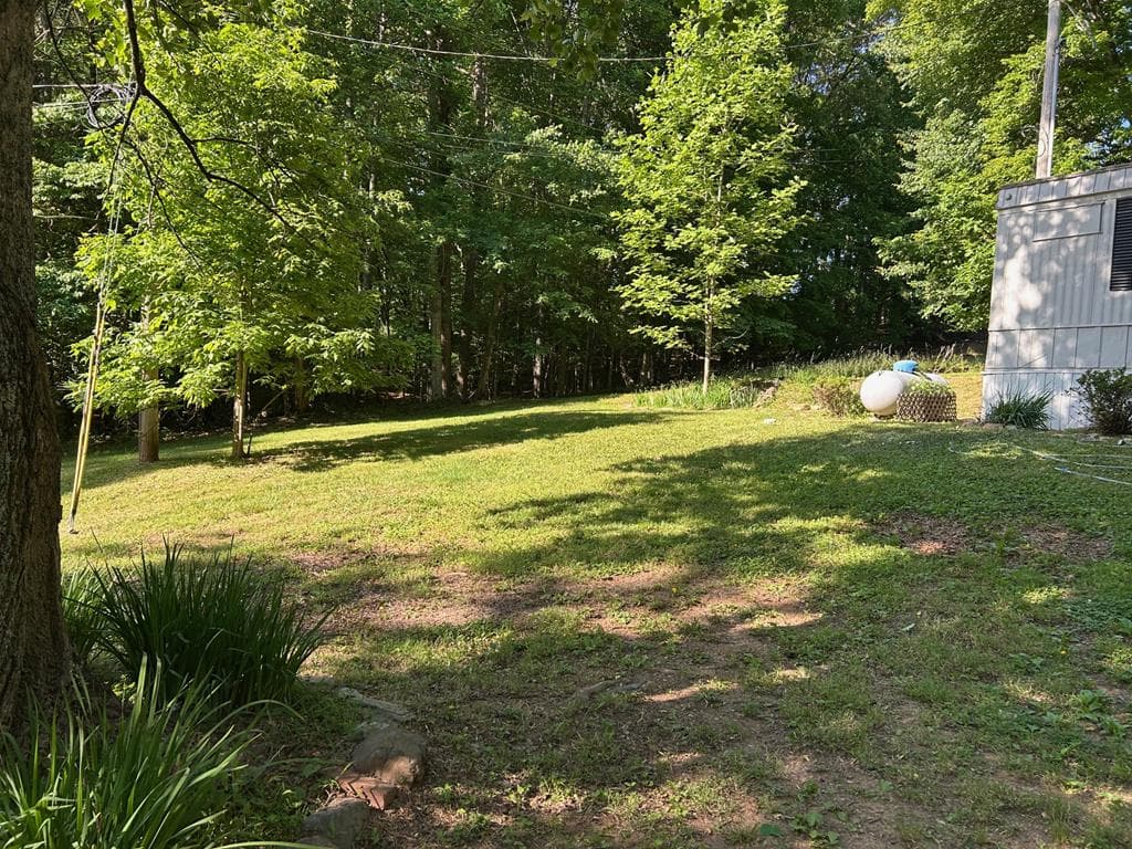 314 Popular Drive, Blairsville GA 30502 - Photo