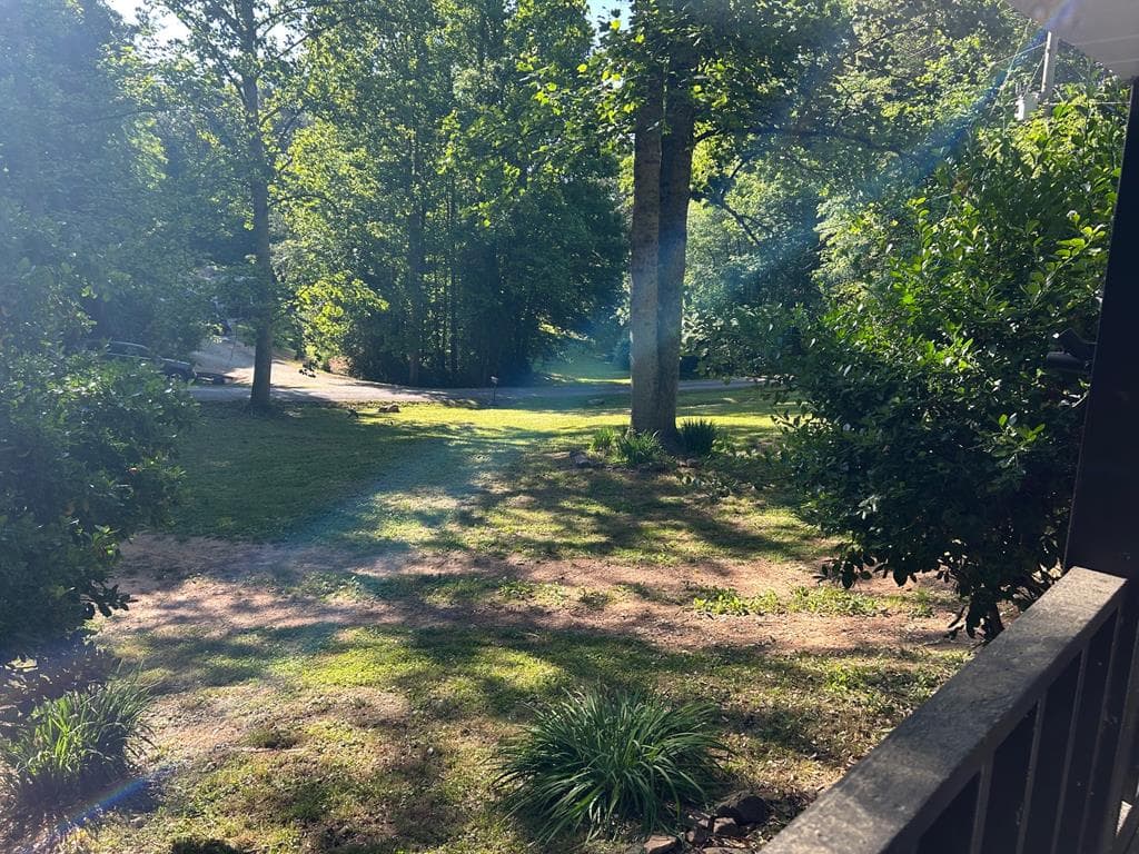 314 Popular Drive, Blairsville GA 30502 - Photo