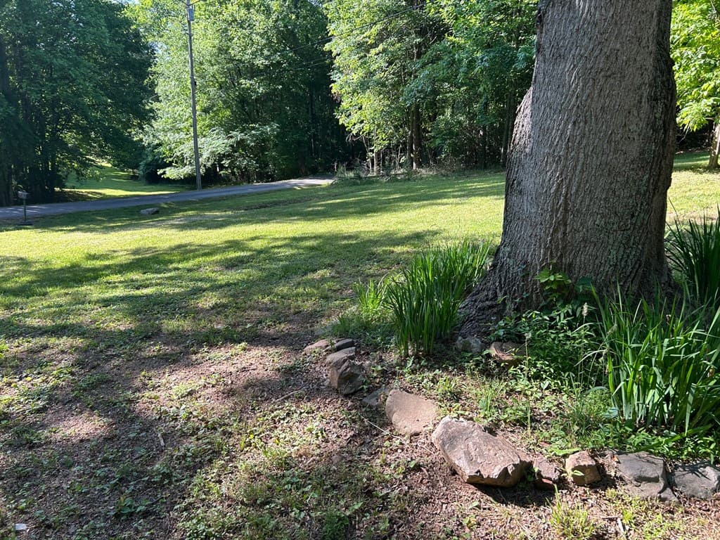314 Popular Drive, Blairsville GA 30502 - Photo