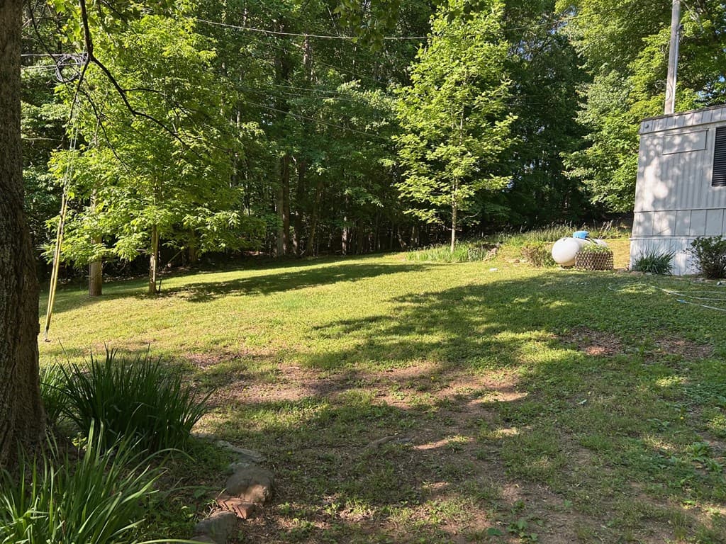 314 Popular Drive, Blairsville GA 30502 - Photo