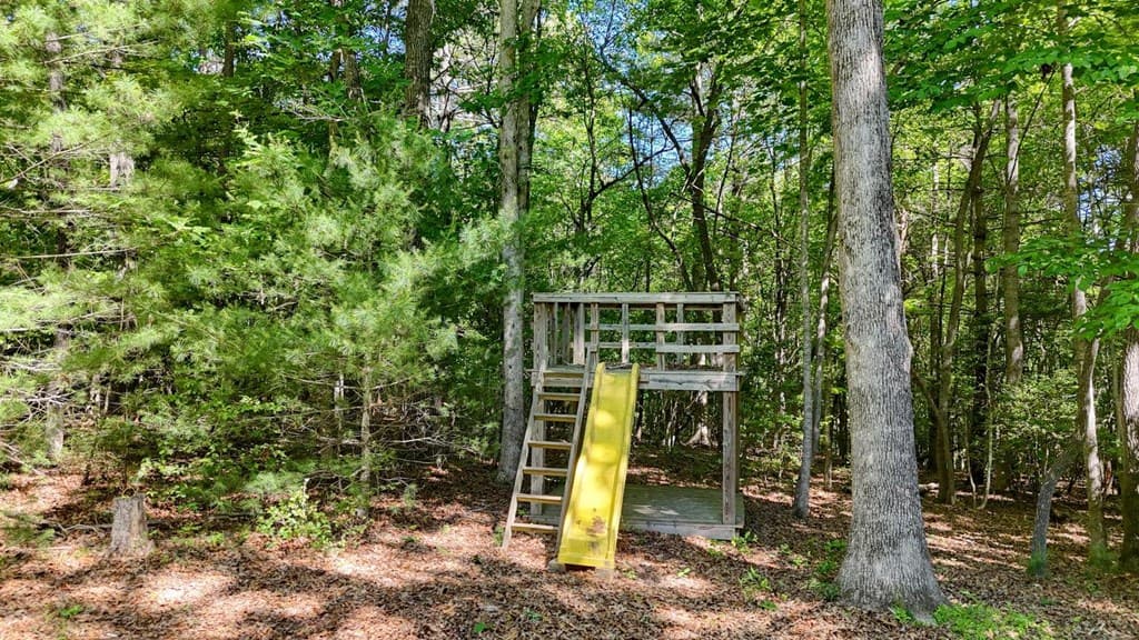 109 Pisgah Drive, Blairsville GA 30512 - Photo