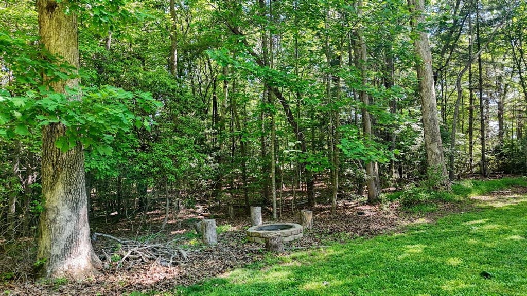 109 Pisgah Drive, Blairsville GA 30512 - Photo