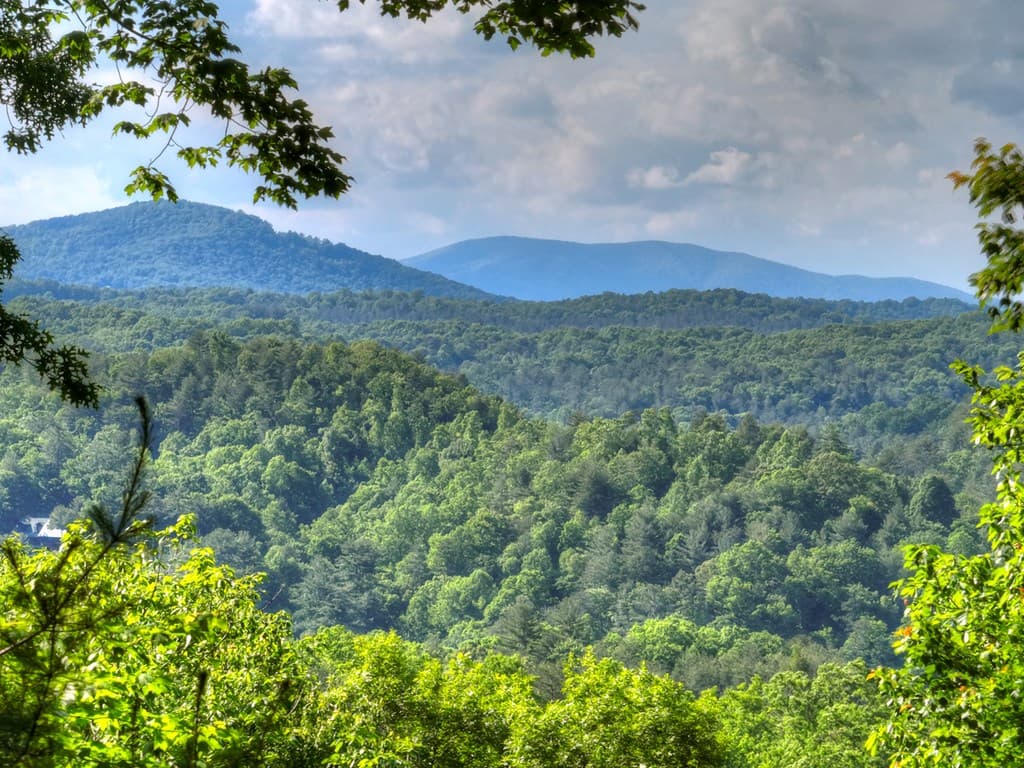 423 Laurel Creek Road, Blue Ridge GA 30513 - Photo