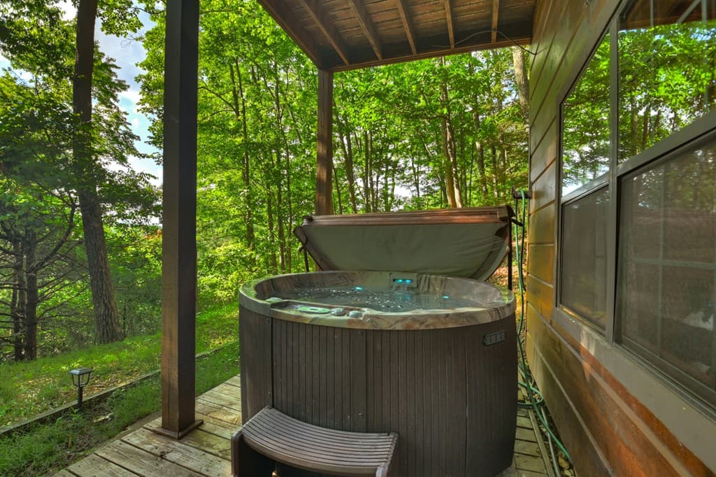 423 Laurel Creek Road, Blue Ridge GA 30513 - Photo