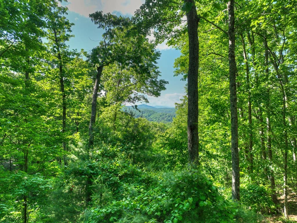 423 Laurel Creek Road, Blue Ridge GA 30513 - Photo