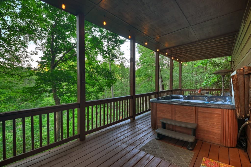 550 Hillsdale Drive, Ellijay GA 30540 - Photo