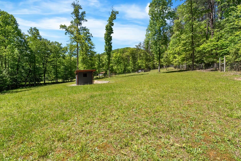 593 Turkey Trot Road, Blairsville GA 30512 - Photo