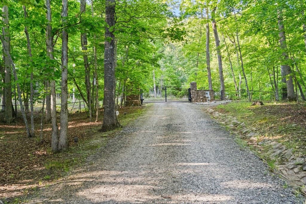 593 Turkey Trot Road, Blairsville GA 30512 - Photo