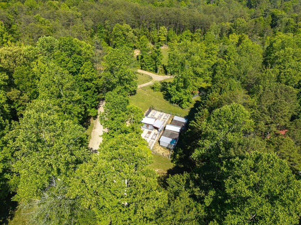 593 Turkey Trot Road, Blairsville GA 30512 - Photo