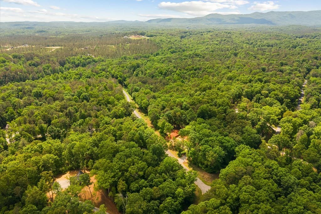 Lot 240 Pinnacle Dr, Ellijay GA 30540 - Photo