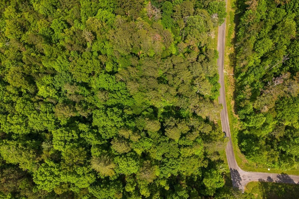 Lot 240 Pinnacle Dr, Ellijay GA 30540 - Photo