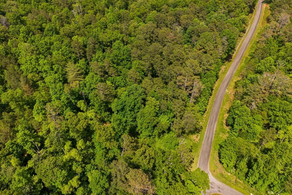 Lot 240 Pinnacle Dr, Ellijay GA 30540 - Photo