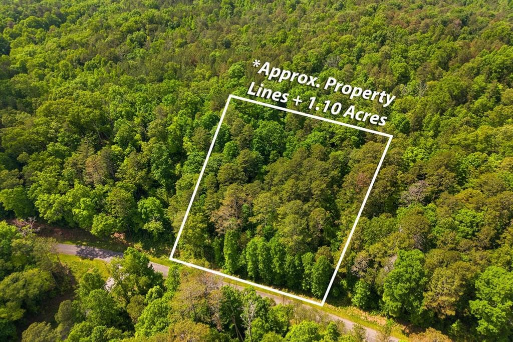 Lot 240 Pinnacle Dr, Ellijay GA 30540 - Primary photo
