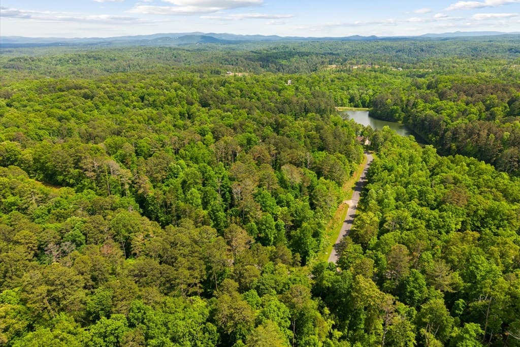 Lot 240 Pinnacle Dr, Ellijay GA 30540 - Photo