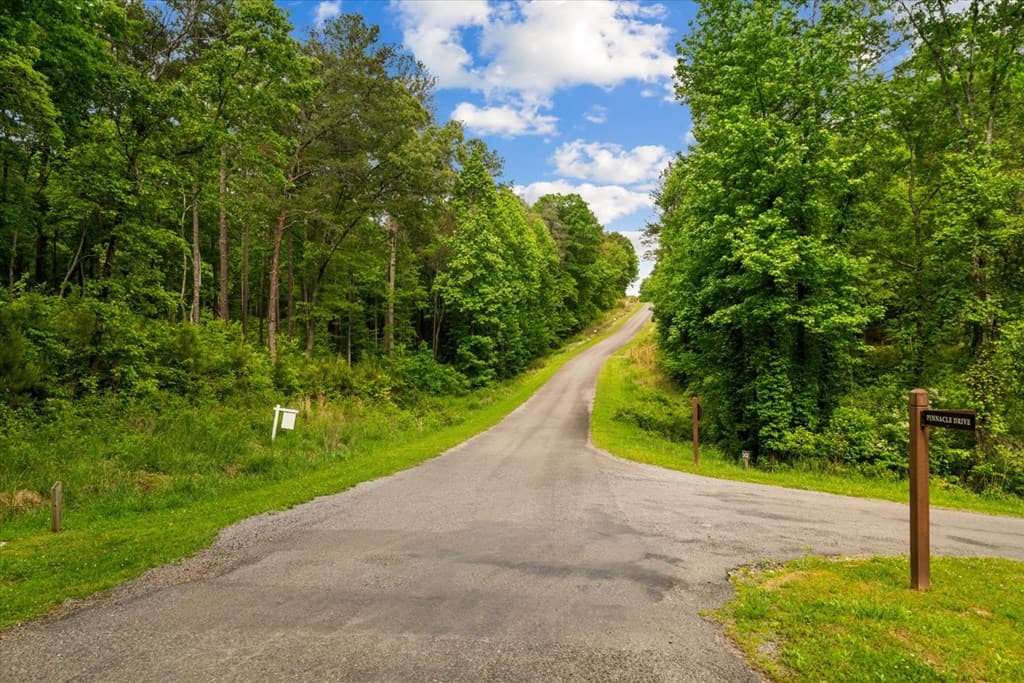Lot 240 Pinnacle Dr, Ellijay GA 30540 - Photo