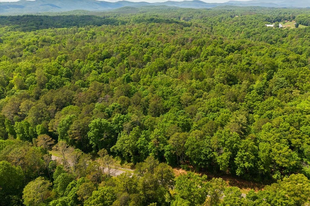 Lot 240 Pinnacle Dr, Ellijay GA 30540 - Photo