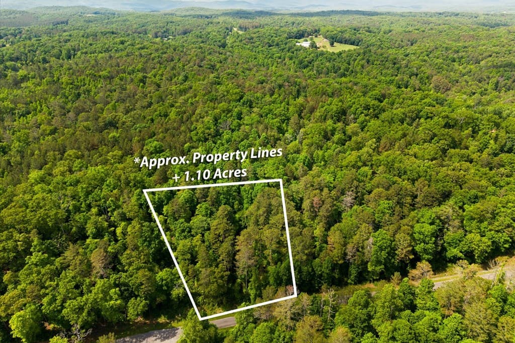 Lot 240 Pinnacle Dr, Ellijay GA 30540 - Photo