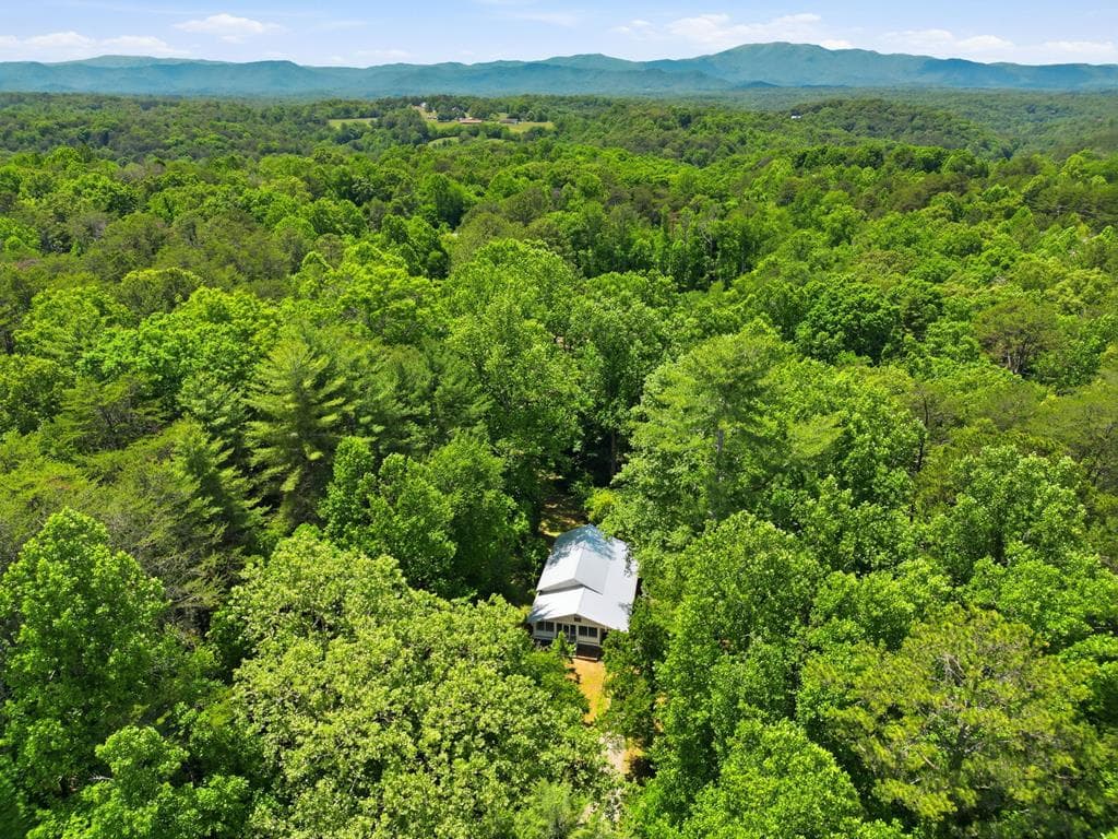 2494 Blue Ridge Drive, Blue Ridge GA 30513 - Photo