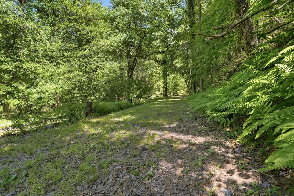 2494 Blue Ridge Drive, Blue Ridge GA 30513 - Photo