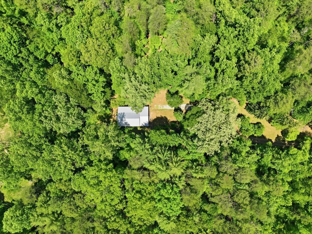 2494 Blue Ridge Drive, Blue Ridge GA 30513 - Photo