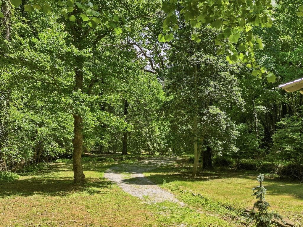 2494 Blue Ridge Drive, Blue Ridge GA 30513 - Photo
