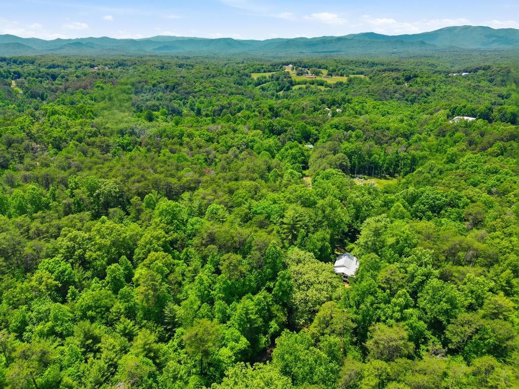2494 Blue Ridge Drive, Blue Ridge GA 30513 - Photo