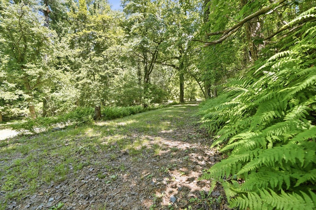 2494 Blue Ridge Drive, Blue Ridge GA 30513 - Photo