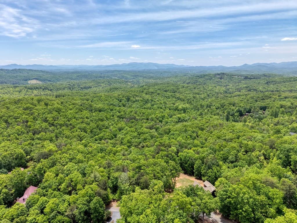 57.30 AC Stuart View Drive, Mineral Bluff GA 30512 - Photo