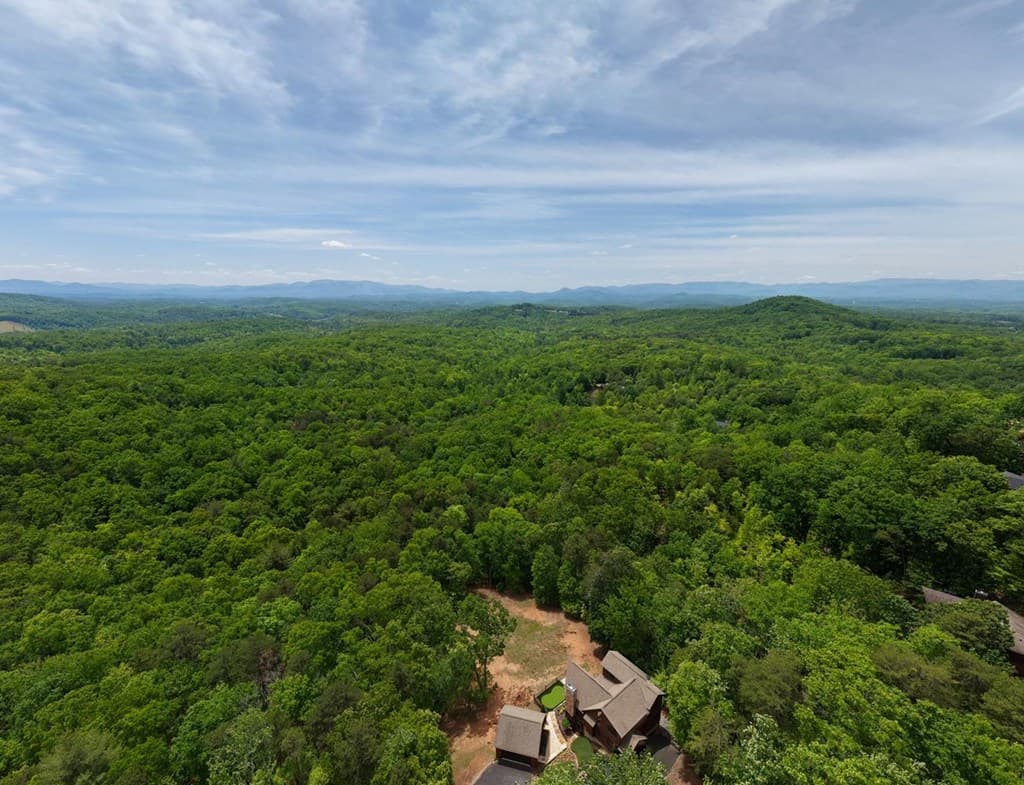 57.30 AC Stuart View Drive, Mineral Bluff GA 30512 - Photo