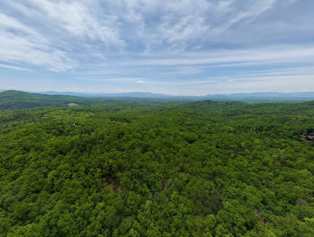 57.30 AC Stuart View Drive, Mineral Bluff GA 30512 - Photo