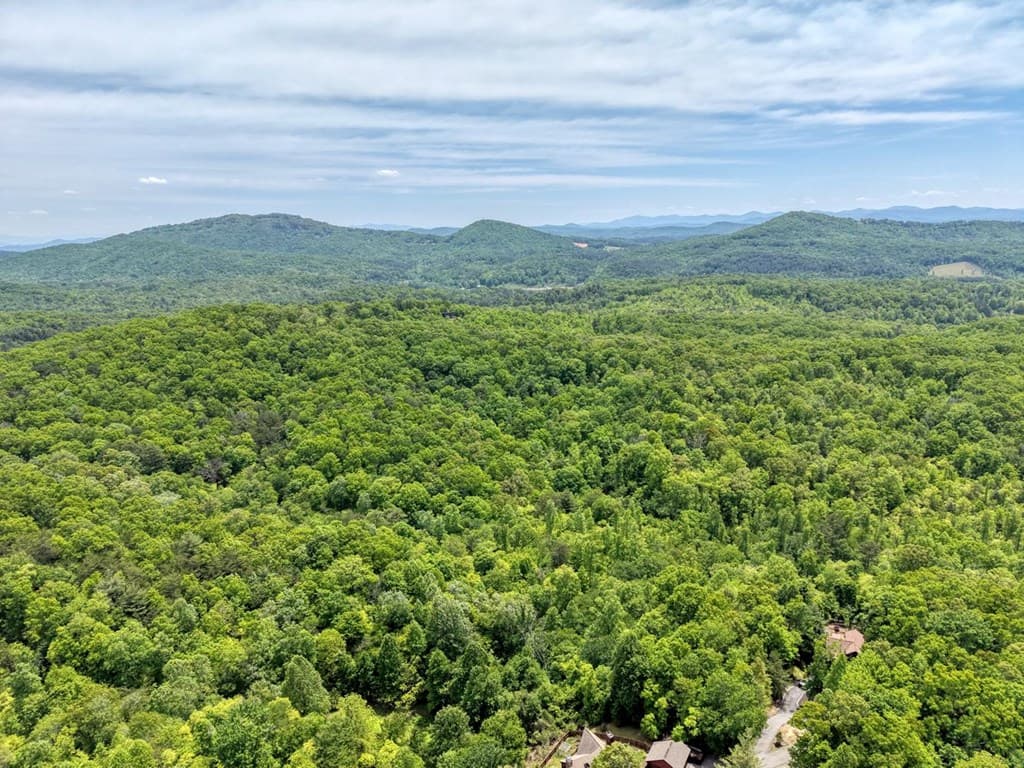 57.30 AC Stuart View Drive, Mineral Bluff GA 30512 - Photo