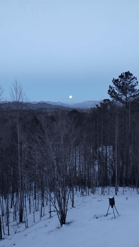 9 Queens Ct, Blairsville GA 30512 - Photo