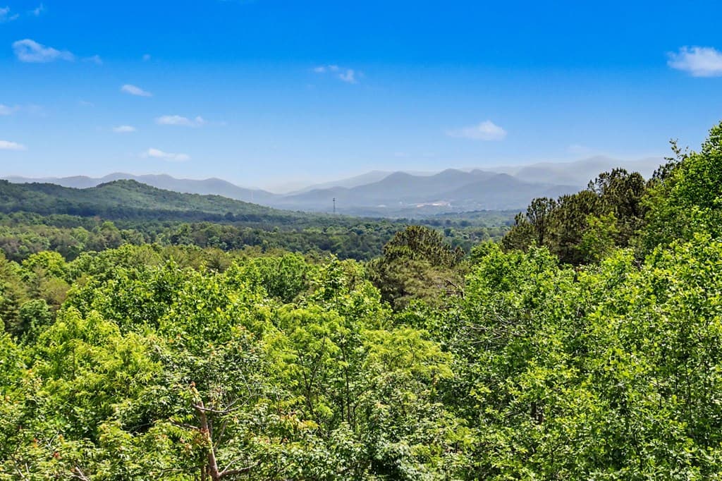 9 Queens Ct, Blairsville GA 30512 - Photo