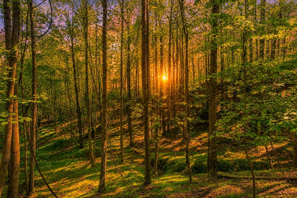 Lot 26 Estates Drive, Ellijay GA 30540 - Photo