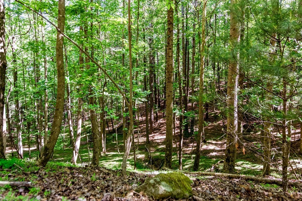 Lot 26 Estates Drive, Ellijay GA 30540 - Photo