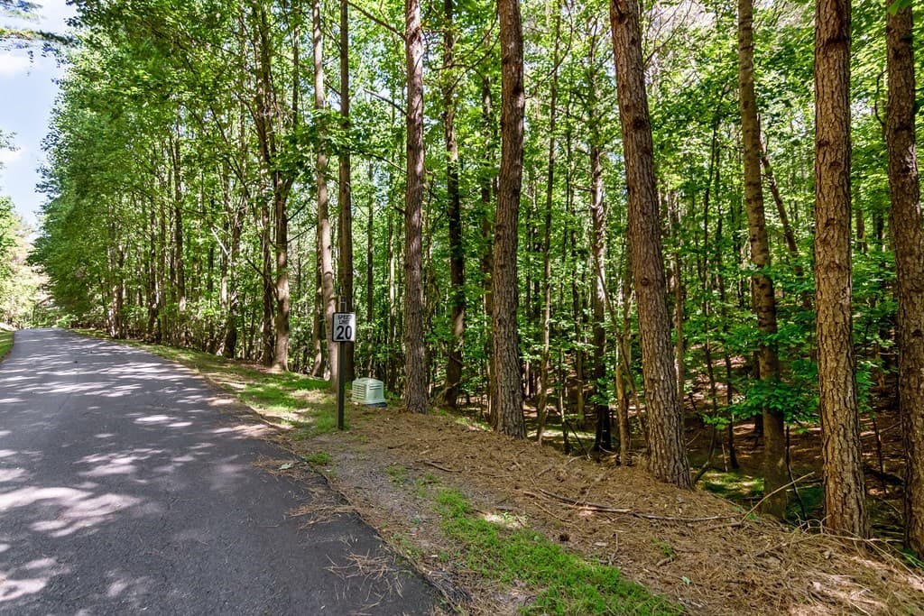 Lot 26 Estates Drive, Ellijay GA 30540 - Photo