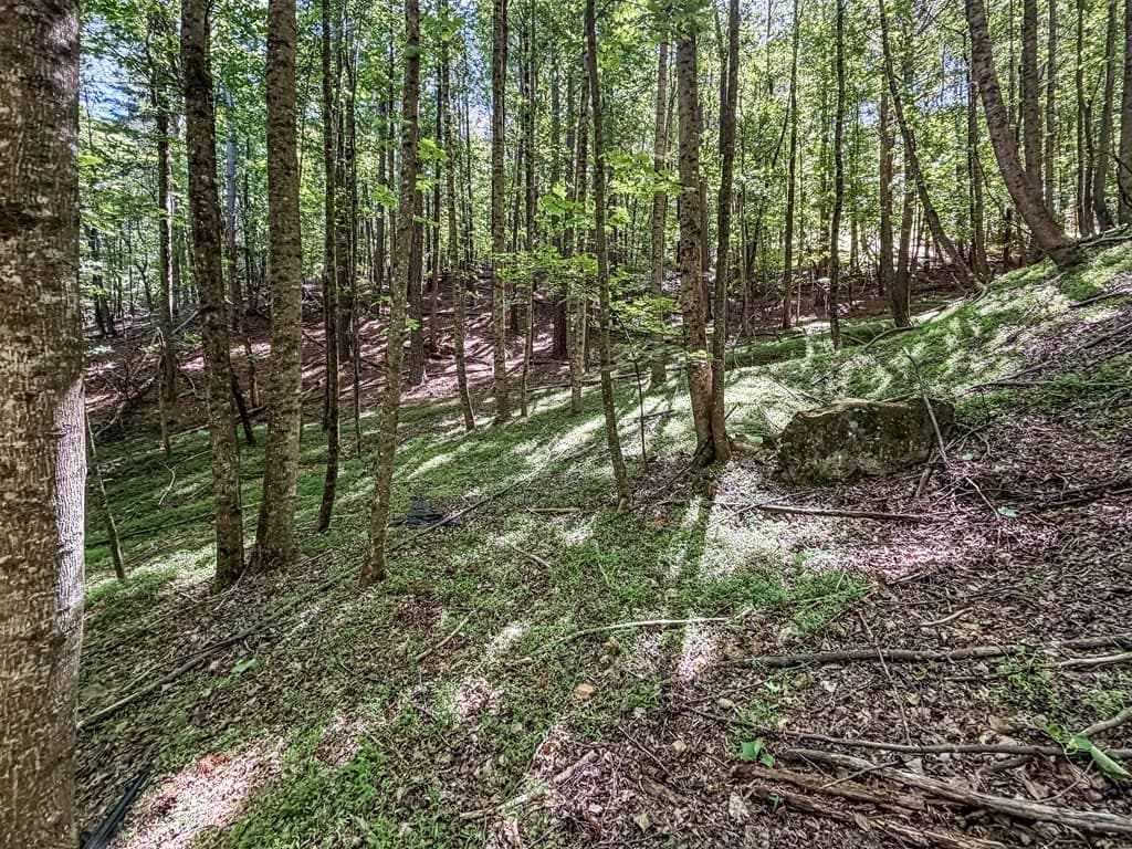 Lot 26 Estates Drive, Ellijay GA 30540 - Photo