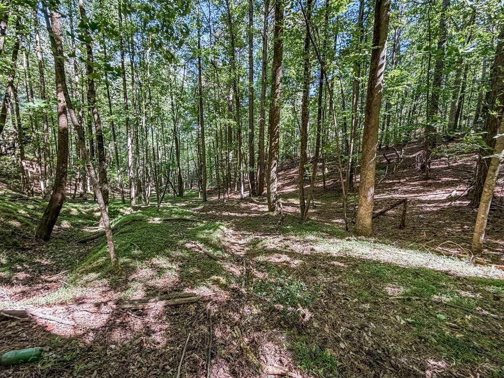 Lot 26 Estates Drive, Ellijay GA 30540 - Photo