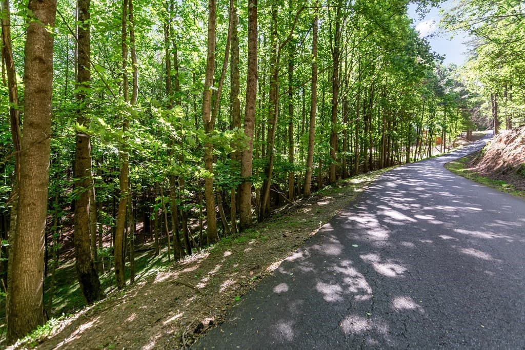 Lot 26 Estates Drive, Ellijay GA 30540 - Photo