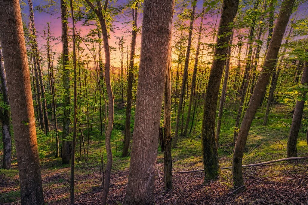 Lot 26 Estates Drive, Ellijay GA 30540 - Photo