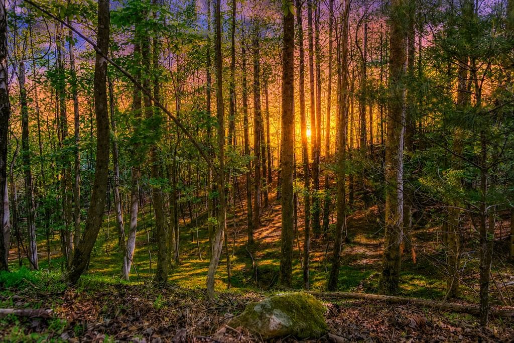 Lot 26 Estates Drive, Ellijay GA 30540 - Primary photo