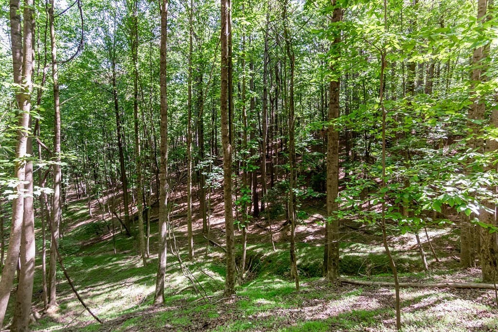 Lot 26 Estates Drive, Ellijay GA 30540 - Photo