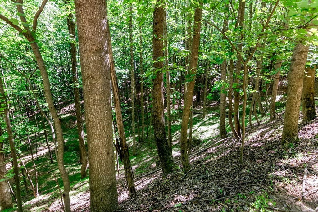 Lot 26 Estates Drive, Ellijay GA 30540 - Photo