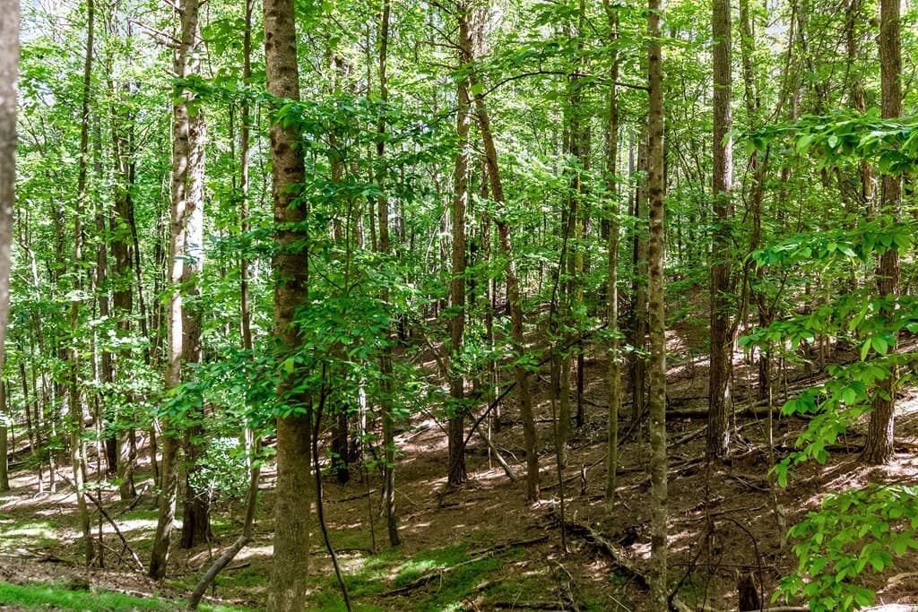 Lot 26 Estates Drive, Ellijay GA 30540 - Photo
