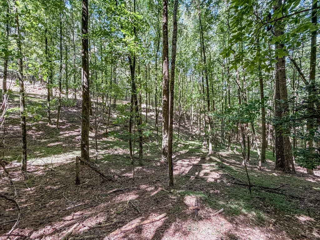 Lot 26 Estates Drive, Ellijay GA 30540 - Photo