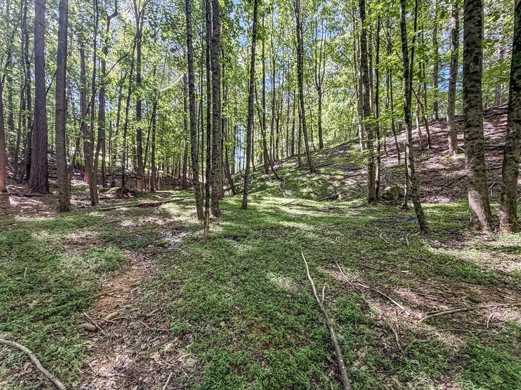 Lot 26 Estates Drive, Ellijay GA 30540 - Photo
